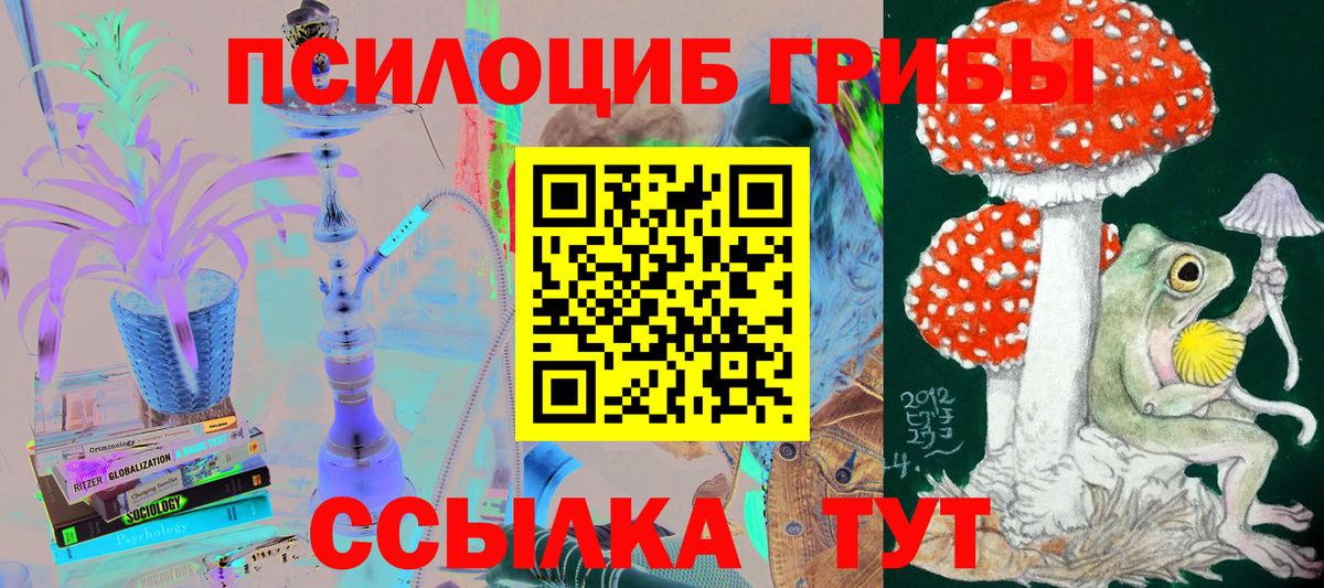 Псилоцибиновые грибы Psilocybine cubensis  Вход с VPN  что такое наркотик  Нягань 