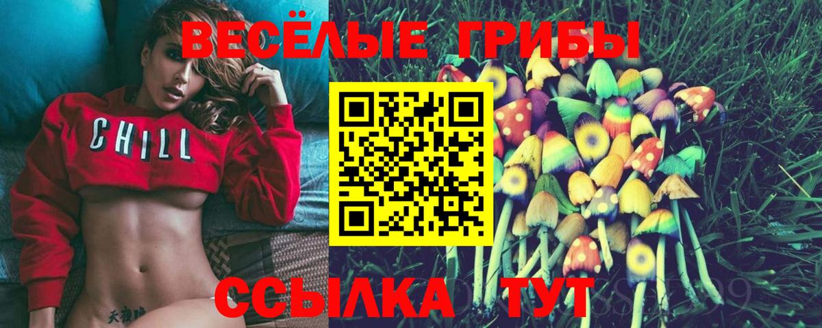 Псилоцибиновые грибы ЛСД Нягань